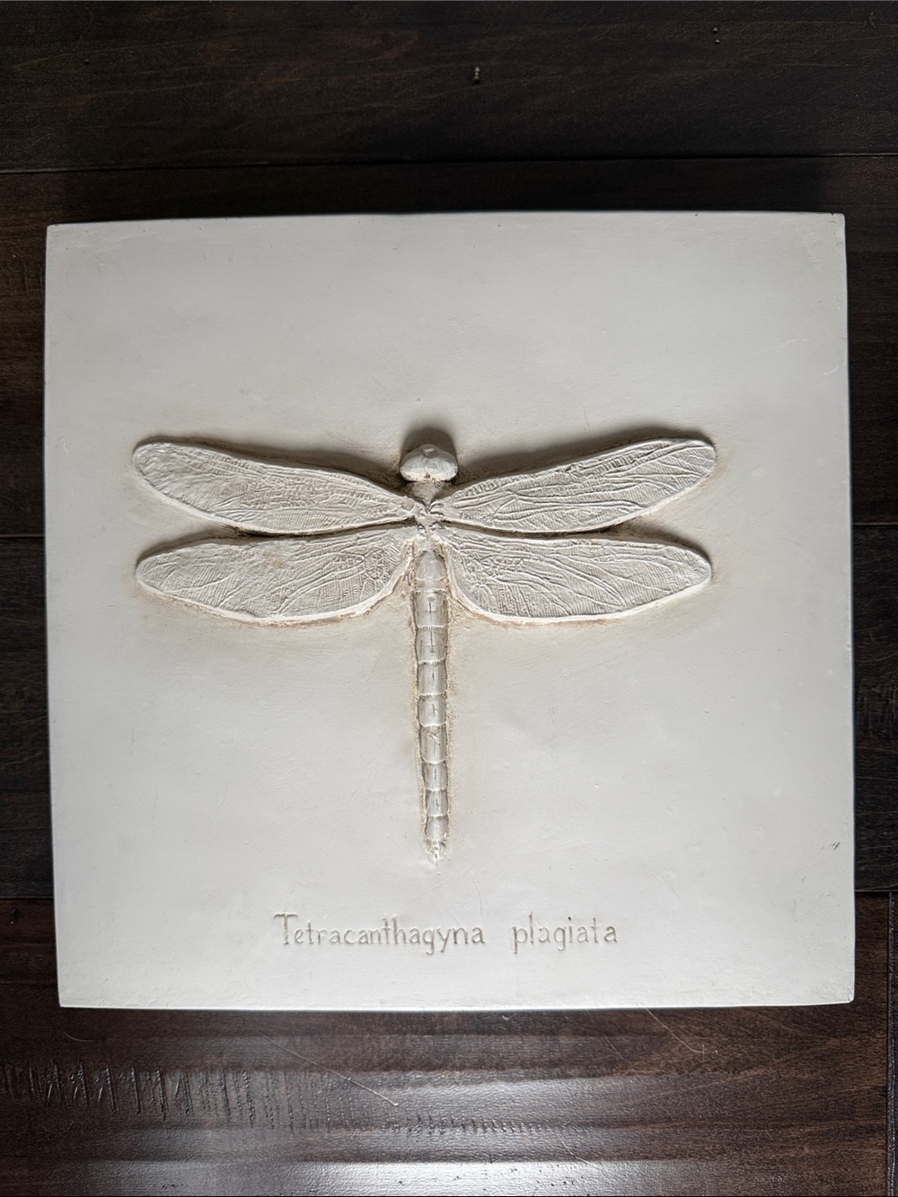 Neutral White Dragonfly Wall Plaque - Home Wall Decor